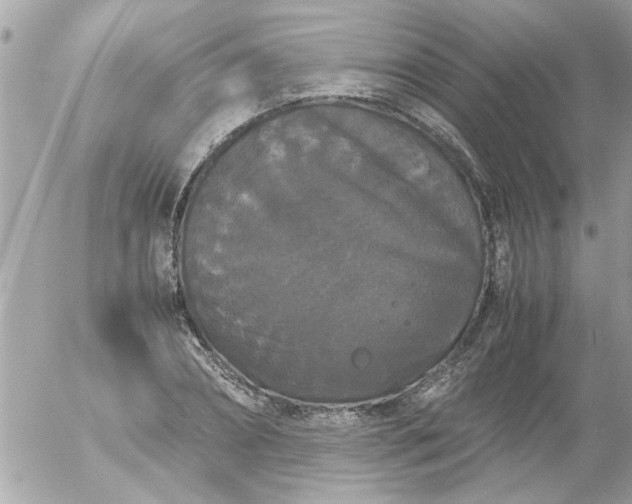 X0000055510882200508262137