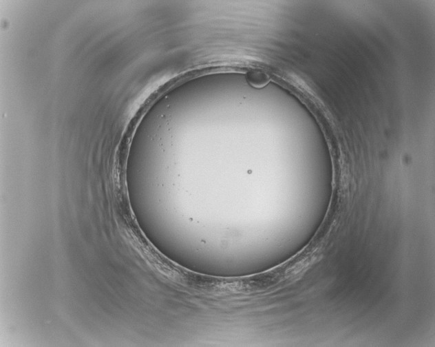 X0000055510883200508262137