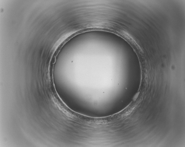 X0000055510884200508262137