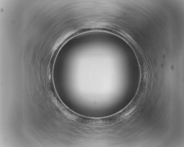 X0000055510885200508262137