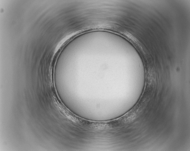 X0000055510886200508262137