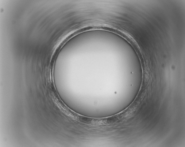 X0000055510887200508262137