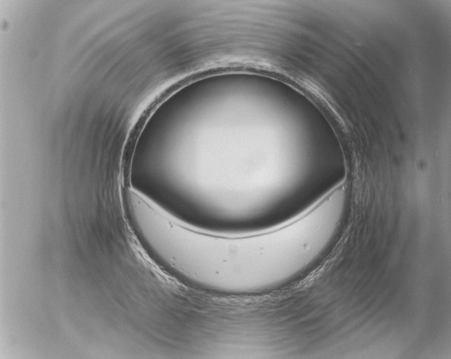 X0000055510888200508262137