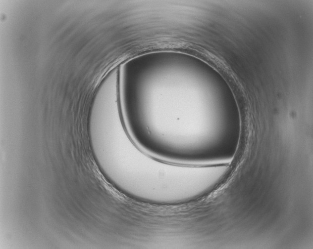 X0000055510889200508262137