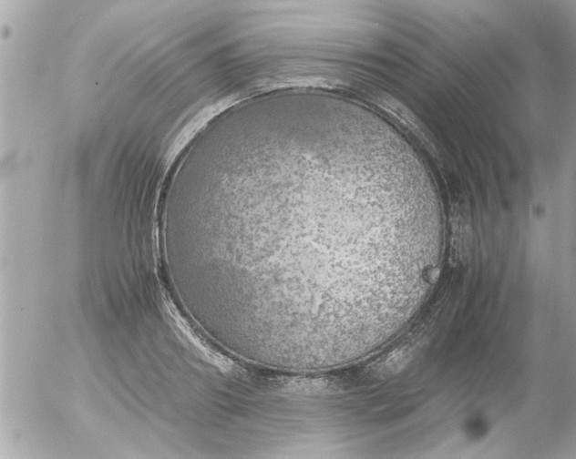 X0000055510890200508262137