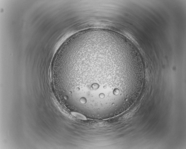 X0000055510891200508262137