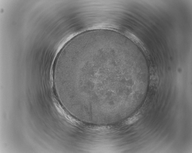 X0000055510892200508262137