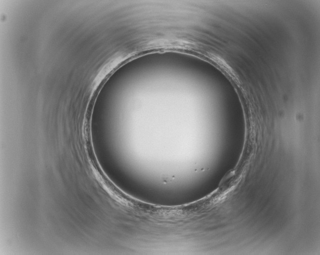 X0000055510893200508262137