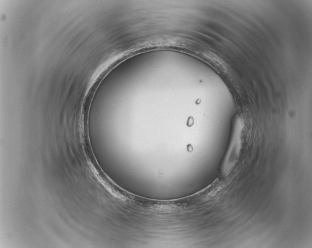 X0000055510894200508262137