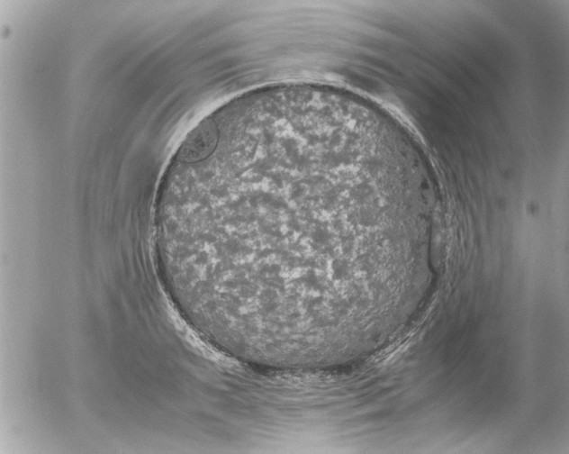 X0000055510895200508262137