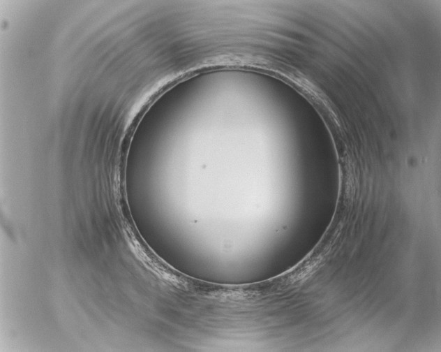 X0000055510896200508262137