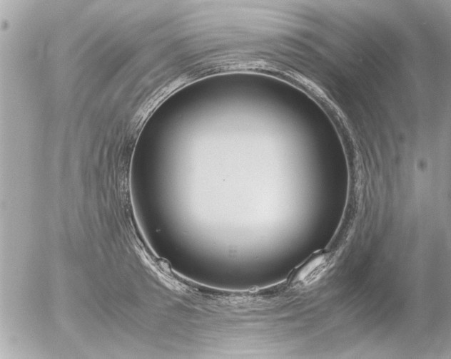 X0000055510897200508262137