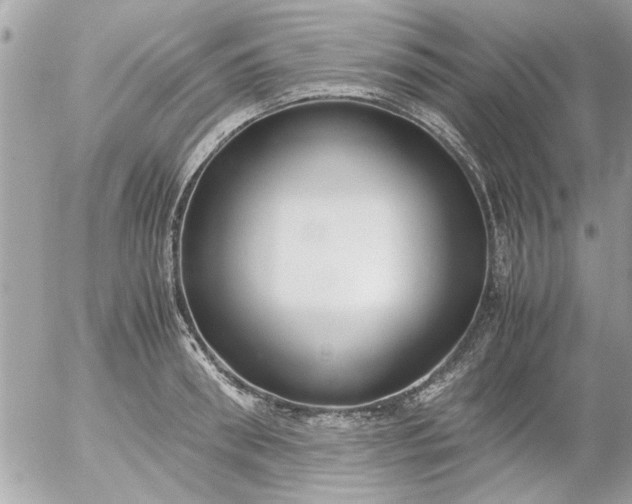 X0000055510898200508262137