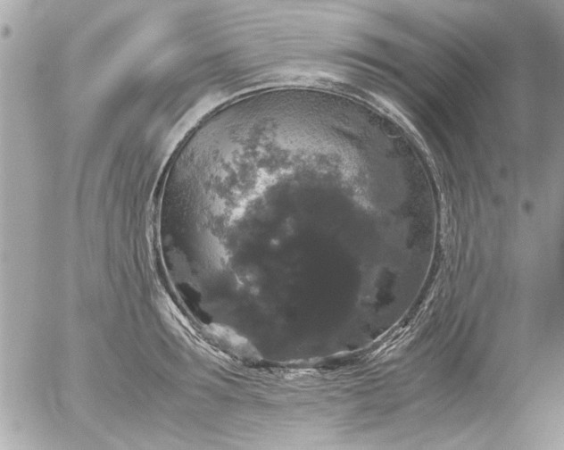 X0000055510899200508262137