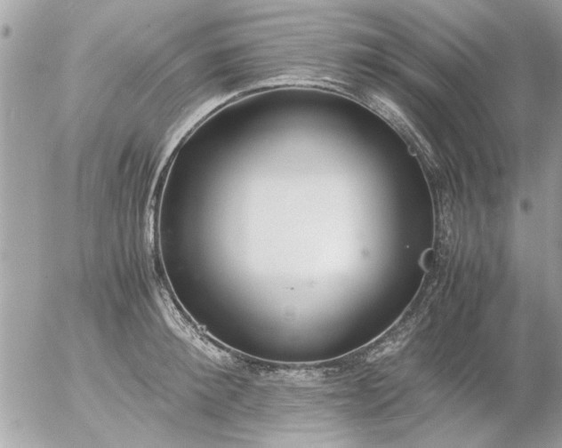 X0000055510900200508262137