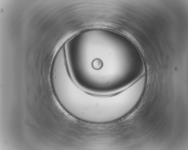 X0000055510901200508262137