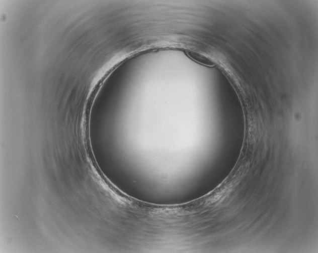 X0000055510902200508262137