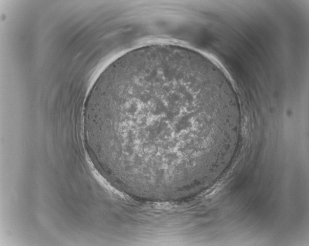 X0000055510903200508262137