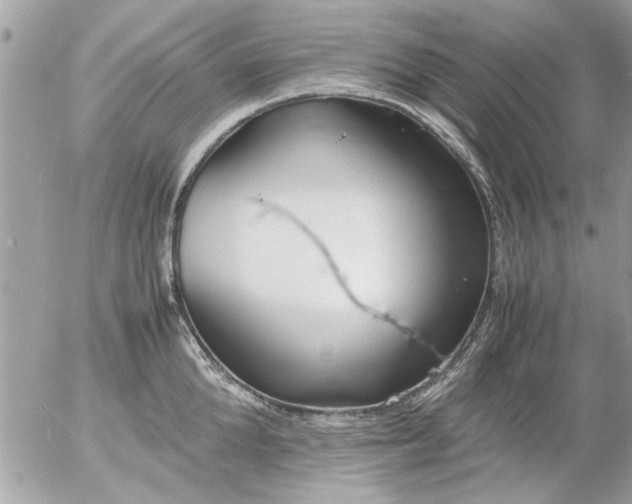 X0000055510904200508262137