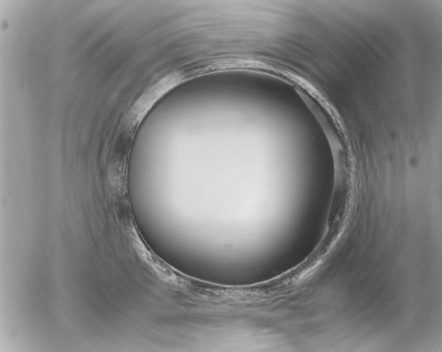 X0000055510905200508262137