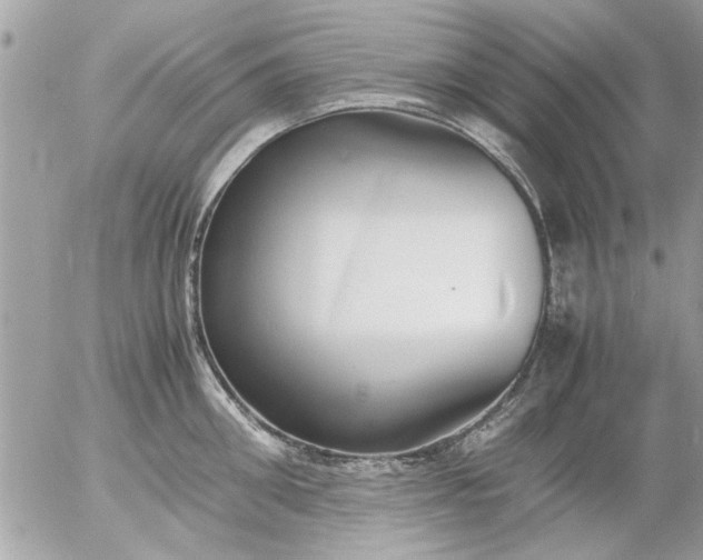 X0000055510906200508262137