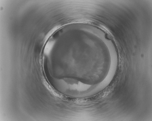 X0000055510907200508262137