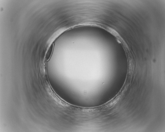 X0000055510908200508262137