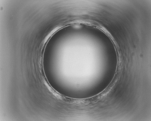 X0000055510909200508262137