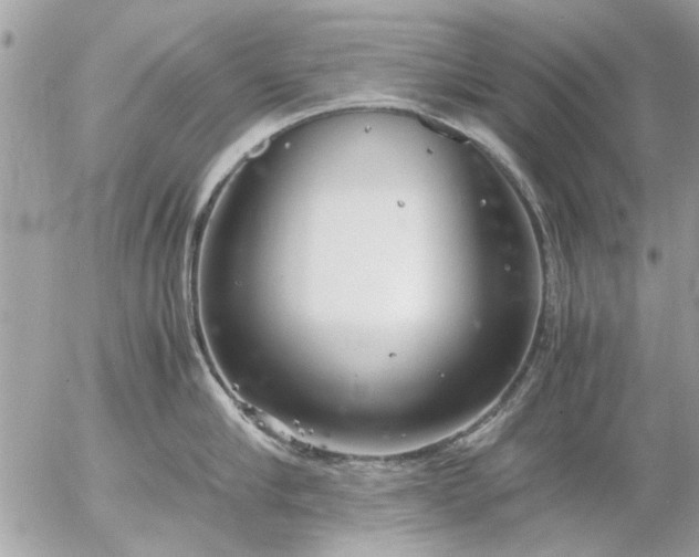 X0000055510910200508262137