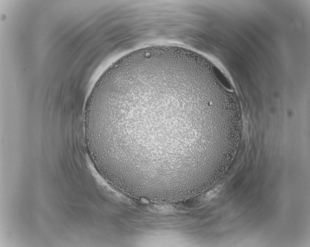 X0000055510911200508262137