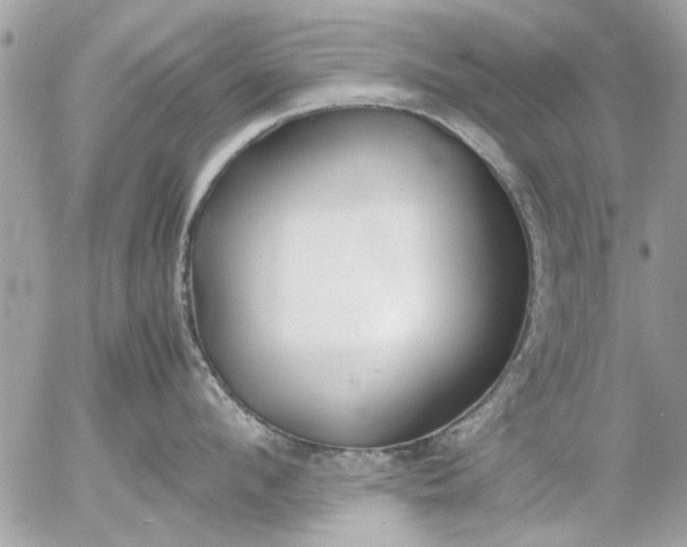 X0000055510912200508262137