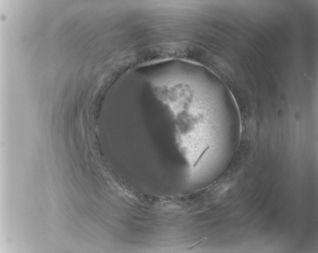 X0000055510913200508262136