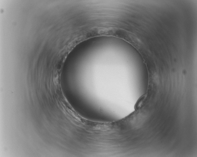 X0000055510914200508262136