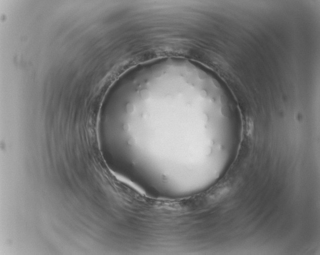 X0000055510915200508262136