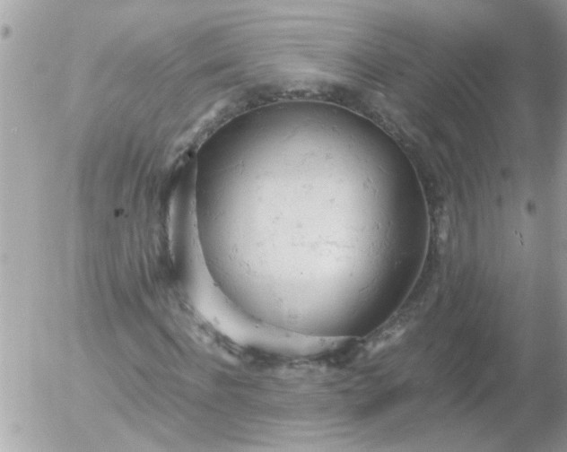 X0000055510916200508262136