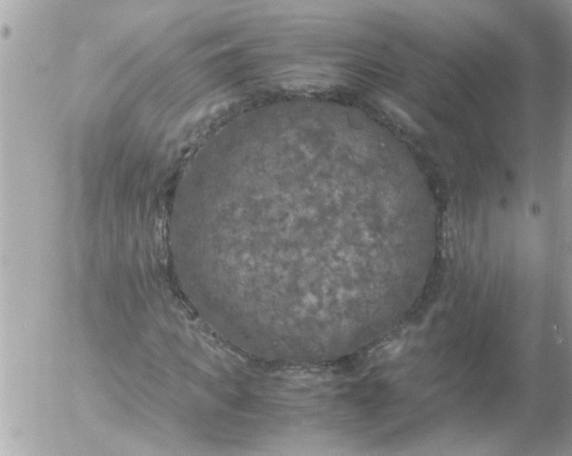 X0000055510917200508262136