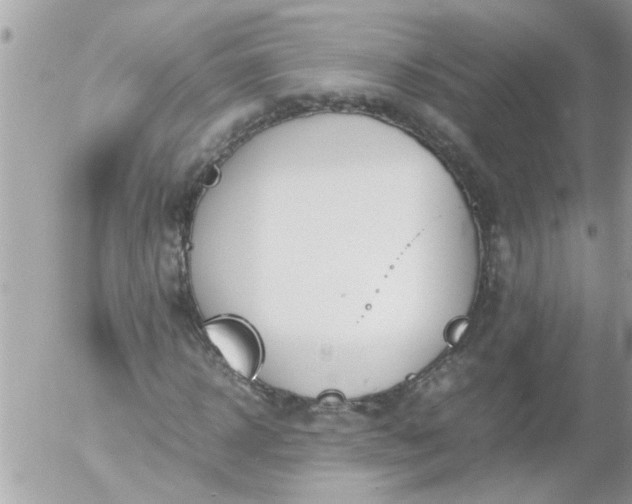 X0000055510918200508262136