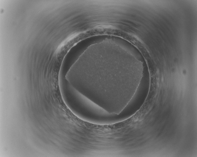 X0000055510919200508262136