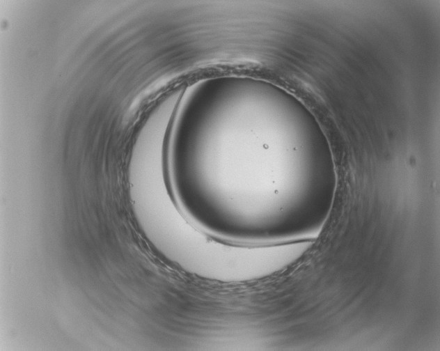 X0000055510920200508262136