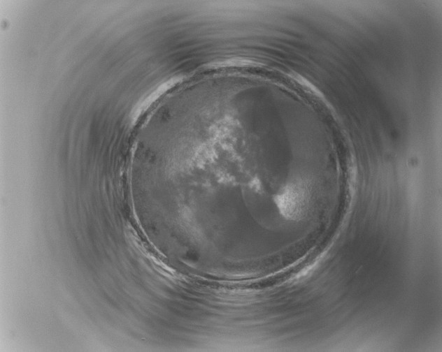 X0000055510921200508262136