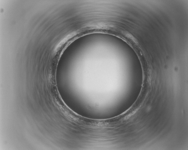 X0000055510922200508262136