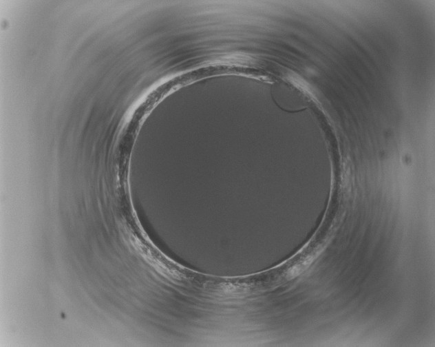 X0000055510923200508262136