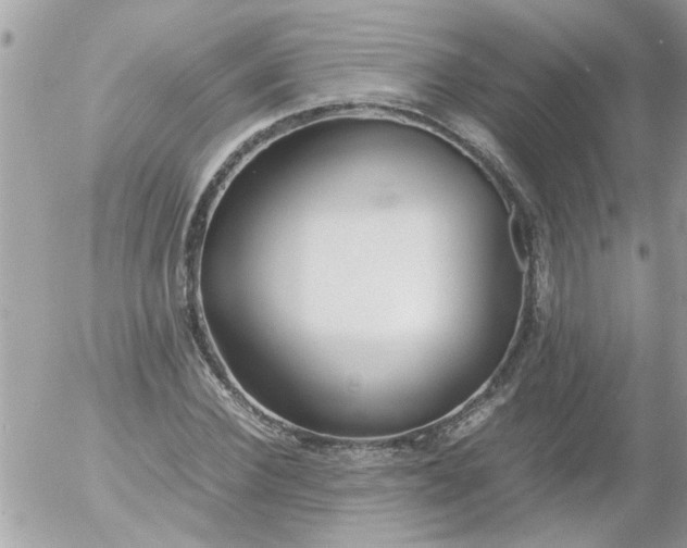 X0000055510924200508262136