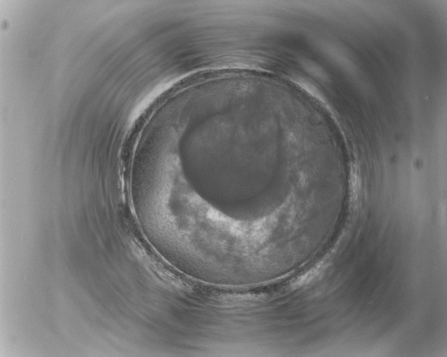 X0000055510925200508262136