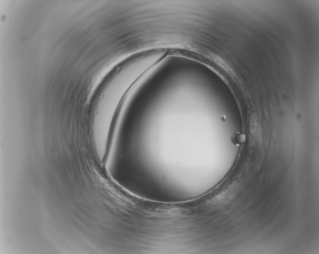 X0000055510926200508262136