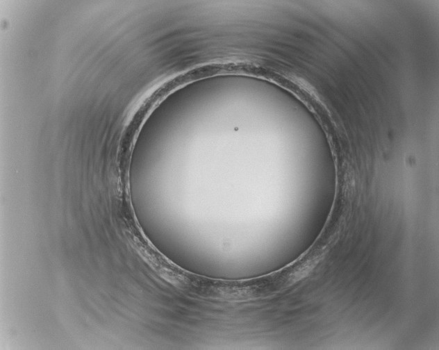 X0000055510927200508262136