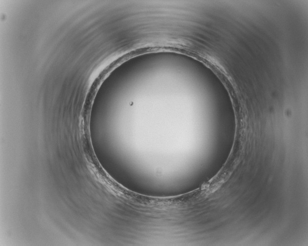 X0000055510928200508262136