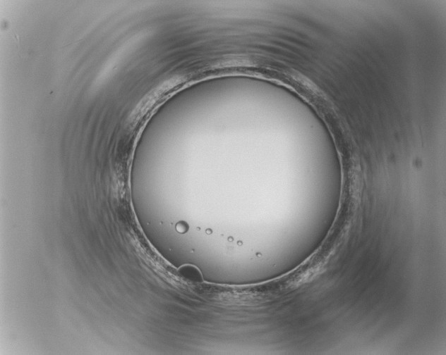 X0000055510929200508262136