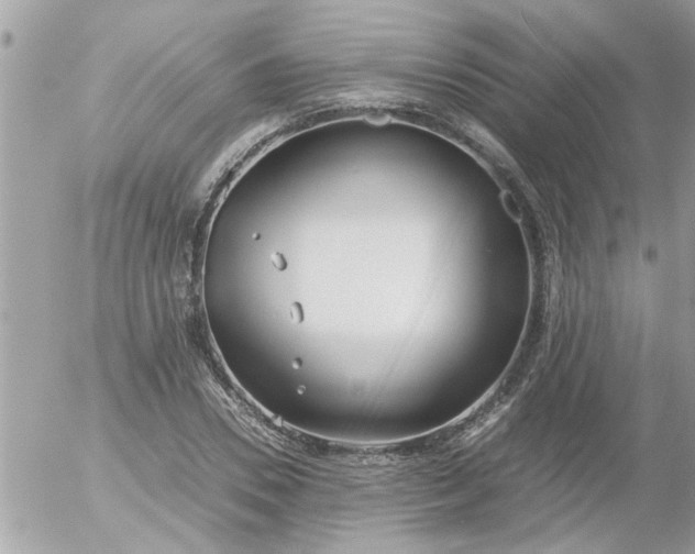 X0000055510930200508262136