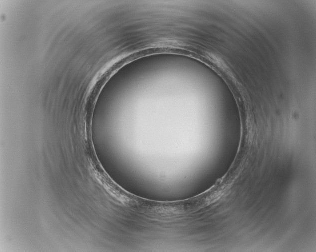 X0000055510931200508262136